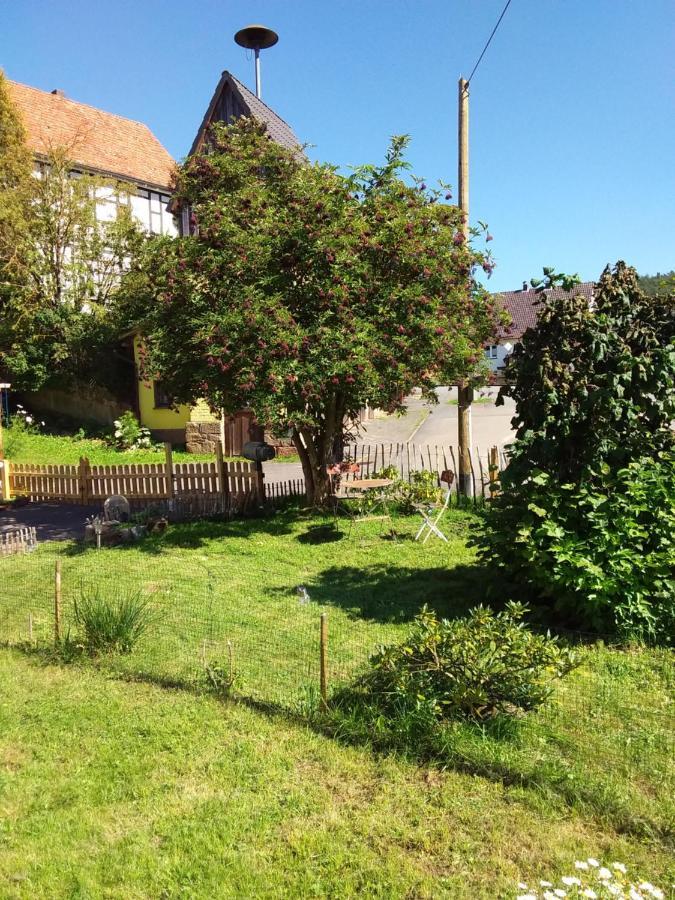 Appartement An Der Bicke Dehringhausen Buitenkant foto