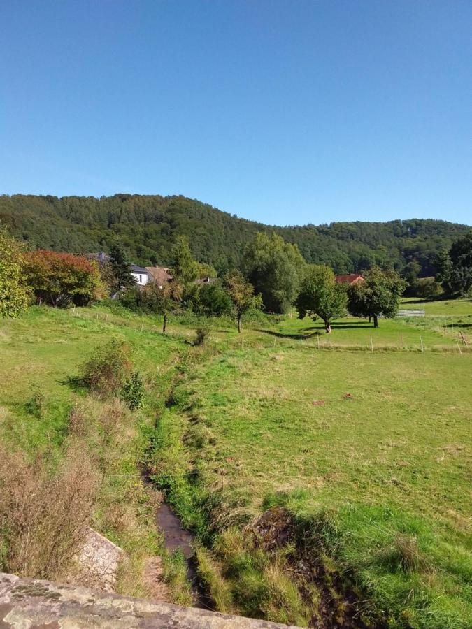 Appartement An Der Bicke Dehringhausen Buitenkant foto