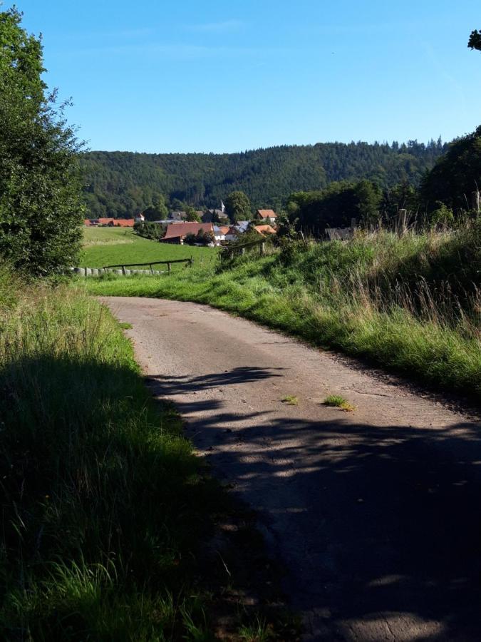 Appartement An Der Bicke Dehringhausen Buitenkant foto